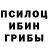 Галлюциногенные грибы мицелий Aysel Heybatzade