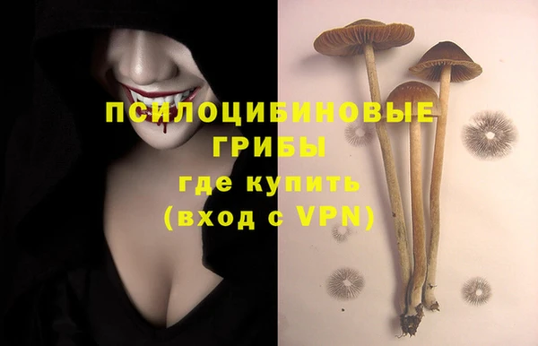 мяу мяу мука Богородск
