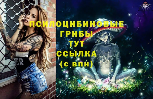 эйфоретик Богородицк