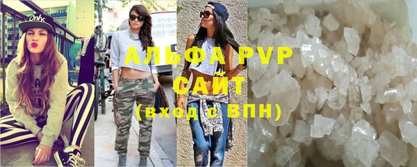 винт Богданович