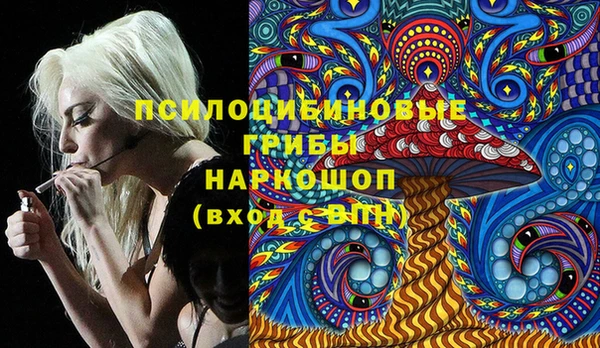 эйфоретик Богородицк