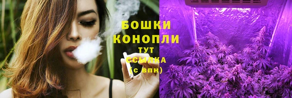 амф Тайга